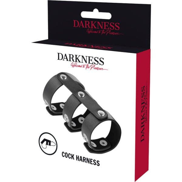 DARKNESS - ADJUSTABLE LEATHER DOUBLE PENIS AND TESTICLE RING 5